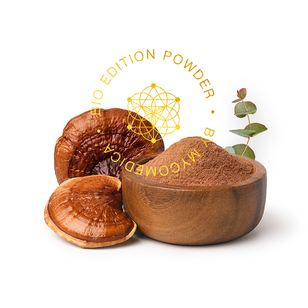 MycoMedica BIO Reishi prášek